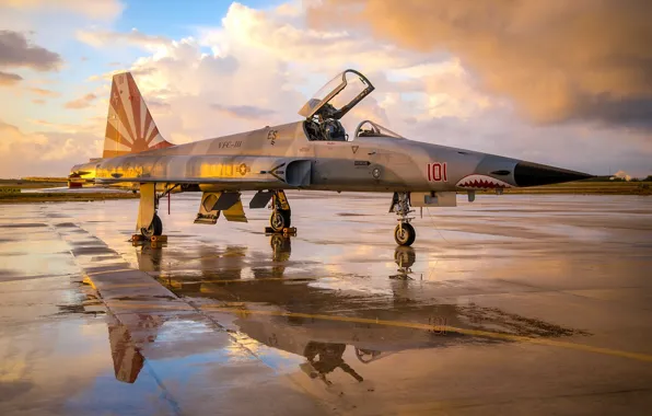 Картинка авиация, оружие, смолёт, F-5N Tiger