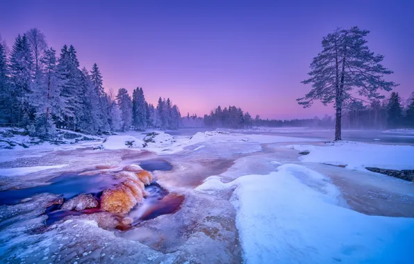 Зима, снег, деревья, река, Финляндия, Finland, Kiiminkijoki River, река Кииминкийоки