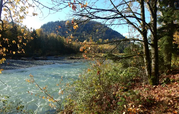 Картинка river, mountain, leaves, Природа, autumn, листва, осень, река