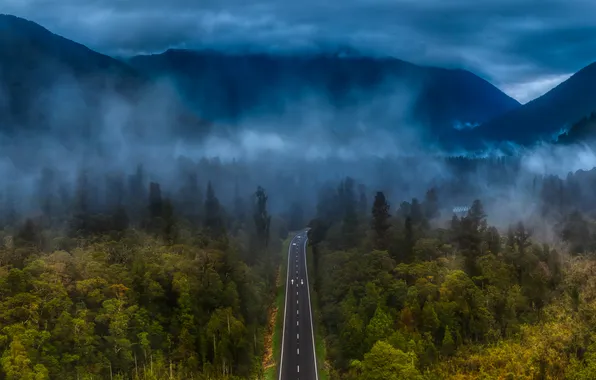 Дорога, лес, деревья, горы, туман, вечер, шоссе, New Zealand
