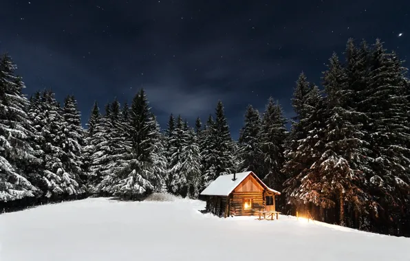 Картинка зима, лес, небо, звезды, свет, снег, деревья, ночь