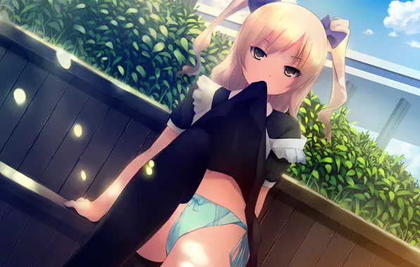 Girl, sexy, lingerie, pantsu, panties, thighhighs, long hair, dress