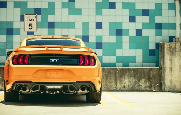 Картинка Ford, вид сзади, 2018, Mustang GT, Fastback Sports