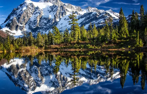 Лес, деревья, горы, озеро, отражение, Гора Шуксан, Каскадные горы, Washington State