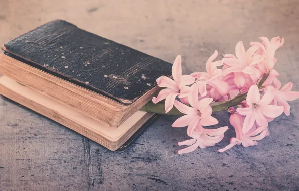 Картинка веточка, гиацинты, натюрморт, композиция, книга, фон, ретро, цветы