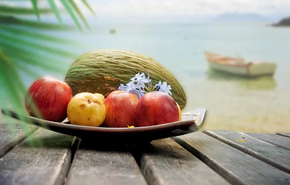 Картинка море, облака, цветы, лодка, яблоки, кокос, фрукты