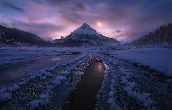 Зима, снег, горы, ночь, Канада, Альберта, лунный свет, Национальный парк Джаспер