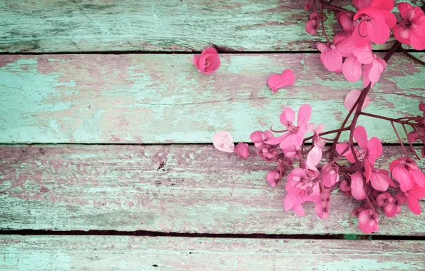 Картинка цветы, весна, розовые, vintage, wood, pink, flowers, spring