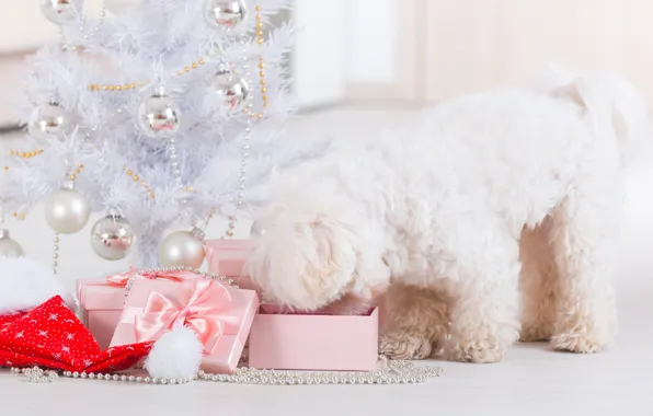 Картинка праздник, новый год, рождество, собака, christmas, new year, dog