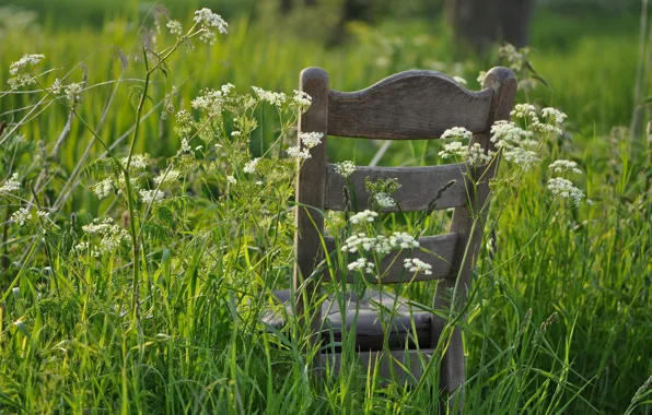 Картинка лето, трава, стул