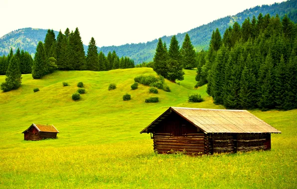 Зелень, лес, трава, деревья, горы, поляна, Германия, домики