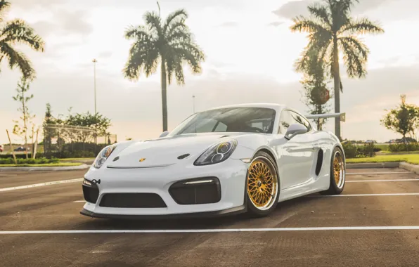 Картинка Porsche, Cayman, Series, Wheels, Heritage, Forgeline, LS3