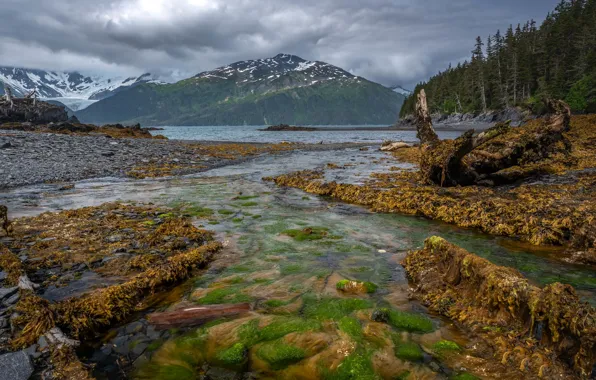 Картинка Alaska, United States, Whittier