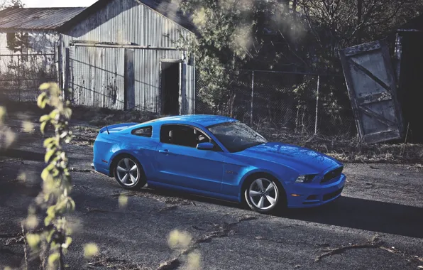 Солнце, Mustang, Ford, Синий, Форд, Muscle, Мустанг, Car