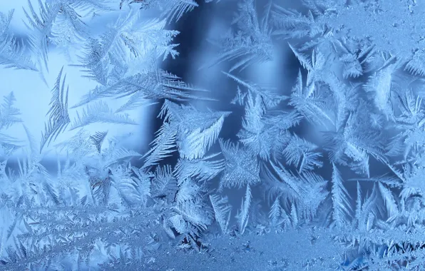 Зима, иней, окно, frozen, Frosty, window