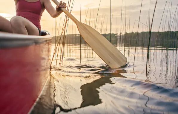 Woman, adventure, canoeing, reeds