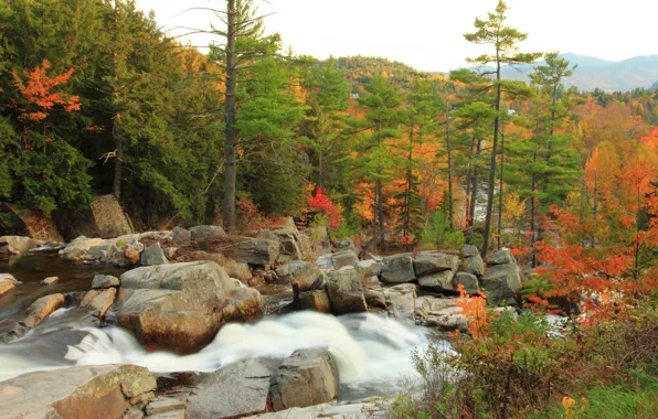 Осень, Камни, Fall, Речка, Autumn, Colors, River