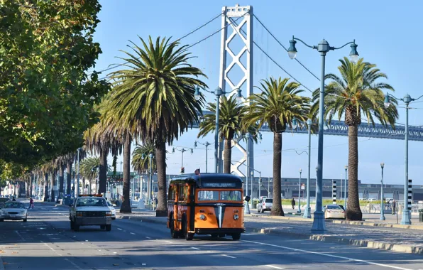 Мост, город, пальмы, улица, автомобили, San Francisco