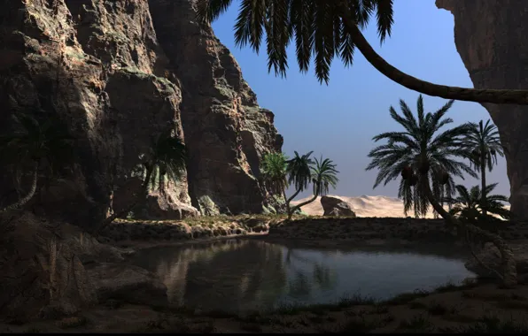Картинка небо, вода, камни, пальмы, скалы, the hidden oasis