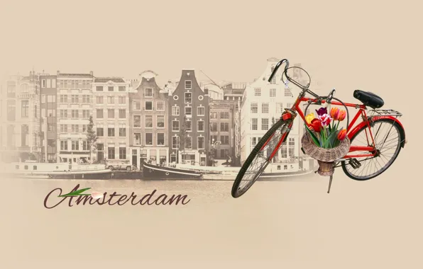 Велосипед, Амстердам, тюльпаны, bike, Amsterdam, tulips, by Pyrus-acerba, коллекция городов