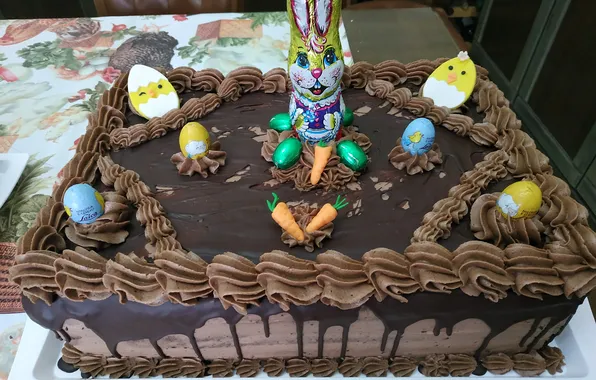 Cake, chocolate, whipped cream