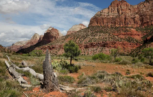 Arizona, mountains, rocks, sand, Desert