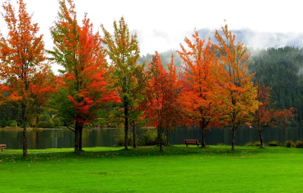 Картинка осень, лес, небо, листья, вода, деревья, горы, скамейка