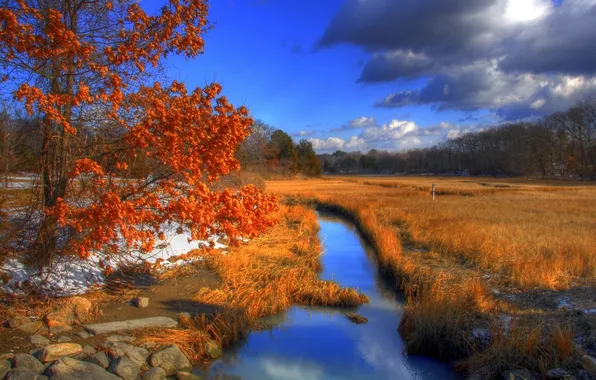 Картинка осень, река, hammonasset state park