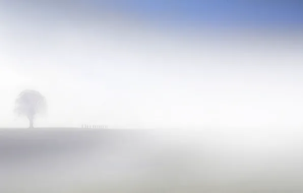Картинка поле, туман, силуэты