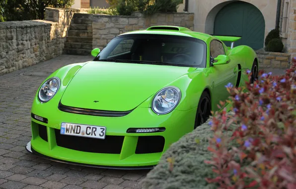 Цветы, зеленый, дом, green, тюнинг, Porsche, лесница, house