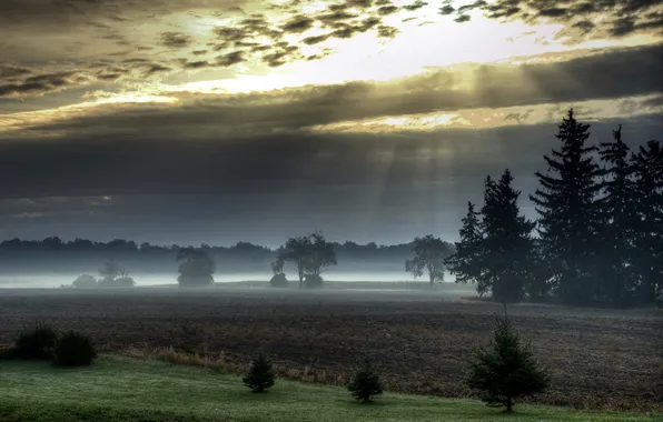 Картинка поле, пейзаж, закат, туман