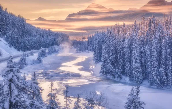Banff National Park, Canada, Wood, Winter, Mountain, Snow, River, Cold