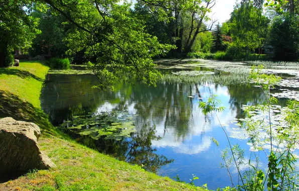 Park, lake, pond