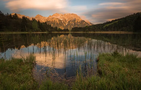 Лес, лето, небо, трава, вода, облака, пейзаж, горы