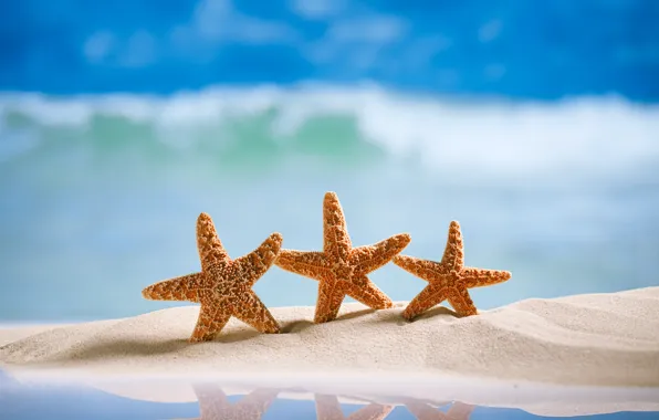 Песок, море, пляж, морская звезда, summer, beach, sea, sand