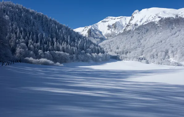 Зима, лес, снег, горы, Франция, тени, France, Овернь