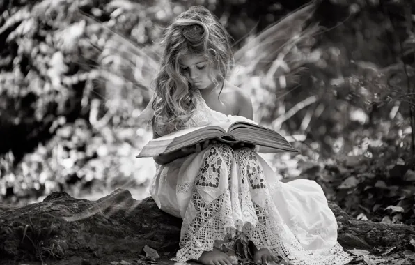 Картинка крылья, девочка, книга, fairy tales