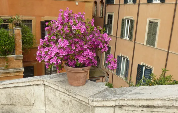 Рим, Италия, Italy, Rome, Испанская лестница