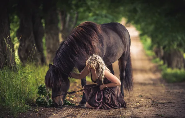 Дорога, девушка, конь