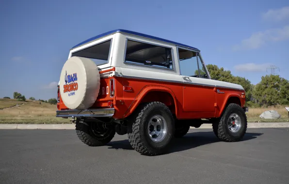 Ford, 1971, кузов, Wagon, Bronco, Baja Edition, Stroppe