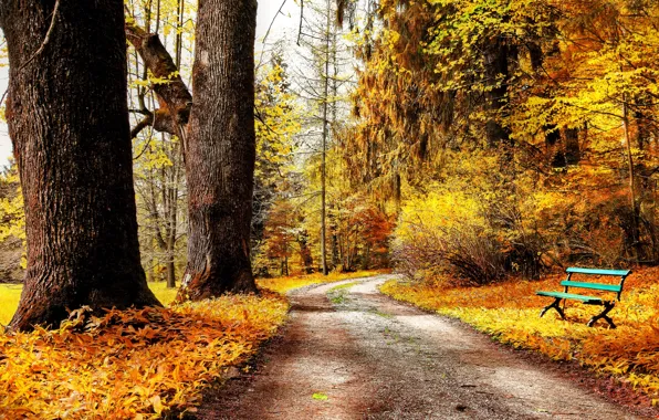 Картинка дорога, осень, листья, деревья, скамейка, природа, парк, желтые
