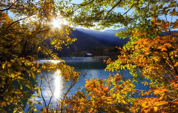 Картинка солнце, лучи, деревья, горы, озеро, Япония, Тотиги, Никко