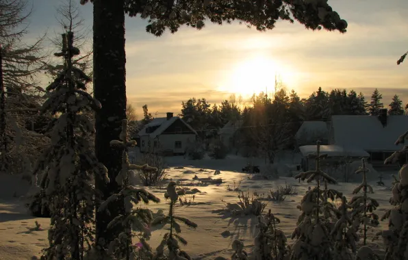 Картинка зима, лес, снег, winter, поселок