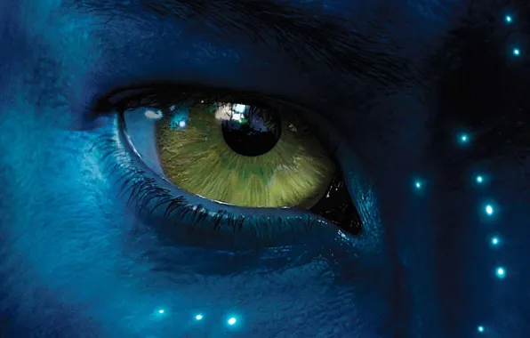 Синий, глаз, аватар, avatar