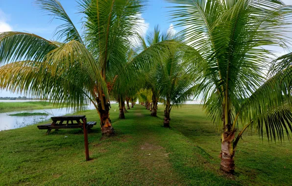 Resorts in Suriname, Pepperpot resort Suriname, Boutique Hotel Peperpot Suriname