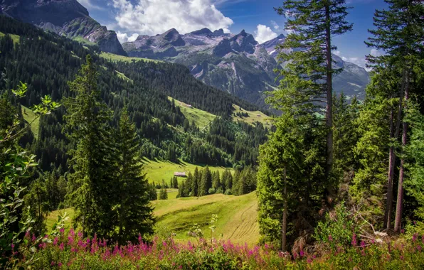 Картинка горы, Швейцария, Альпы, Sanetschhorn