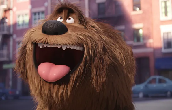 Car, city, cinema, wallpaper, happy, eyes, dog, cartoon