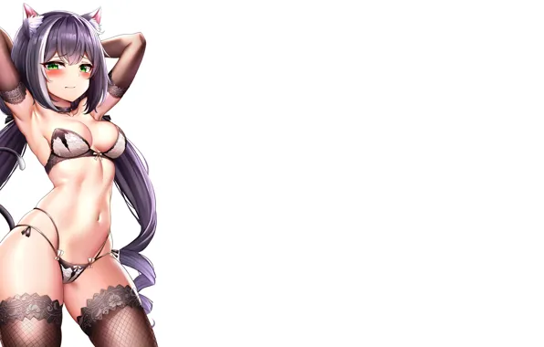 Girl, sexy, bra, Anime, panties, pretty, purple, Neko