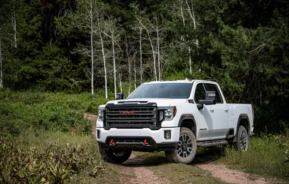 Белый, деревья, растительность, пикап, GMC, Sierra, AT4, 2020