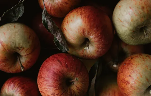 Крупный план, темный фон, яблоки, много